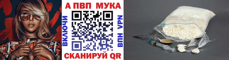 Альфа ПВП СК КРИС  Дигора 