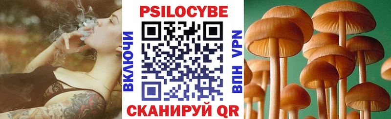 Псилоцибиновые грибы MAGIC MUSHROOMS  где найти наркотики  МЕГА ссылки  Дигора 