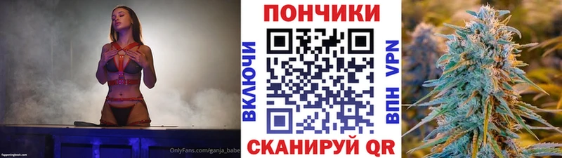 даркнет клад  ОМГ ОМГ онион  Дигора  Бошки Шишки VHQ 